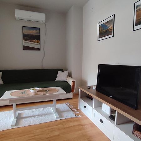 Vila Zora Apartman Banja Koviljača Exterior foto