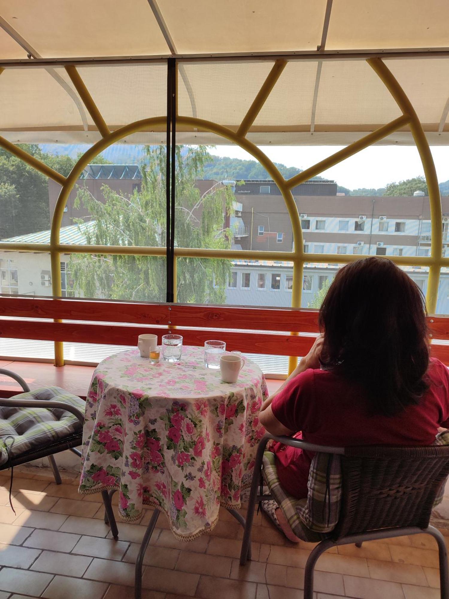 Vila Zora Apartman Banja Koviljača Exterior foto